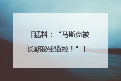 猛料：“马斯克被长期秘密监控！”