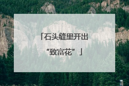 石头缝里开出“致富花”