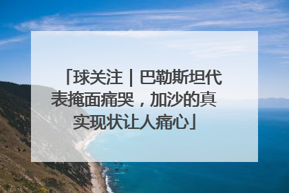 球关注｜巴勒斯坦代表掩面痛哭，加沙的真实现状让人痛心