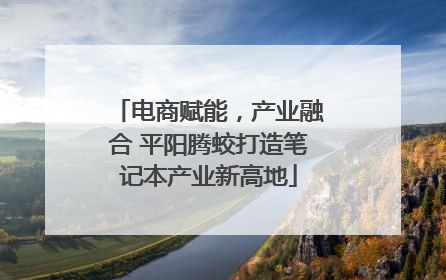 电商赋能，产业融合 平阳腾蛟打造笔记本产业新高地