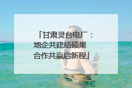 甘肃灵台电厂：地企共建结硕果 合作共赢启新程
