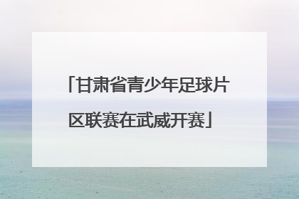 甘肃省青少年足球片区联赛在武威开赛