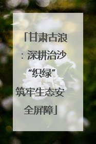 甘肃古浪：深耕治沙“织绿” 筑牢生态安全屏障