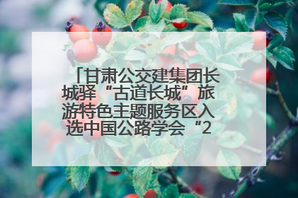 甘肃公交建集团长城驿“古道长城”旅游特色主题服务区入选中国公路学会“2025年度交通与旅游融合创新项目”