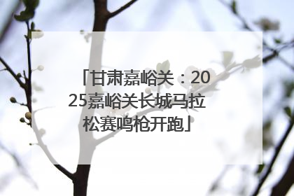 甘肃嘉峪关：2025嘉峪关长城马拉松赛鸣枪开跑