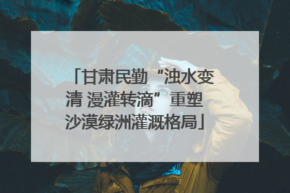 甘肃民勤“浊水变清 漫灌转滴”重塑沙漠绿洲灌溉格局