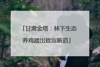 甘肃金塔：林下生态养鸡踏出致富新道
