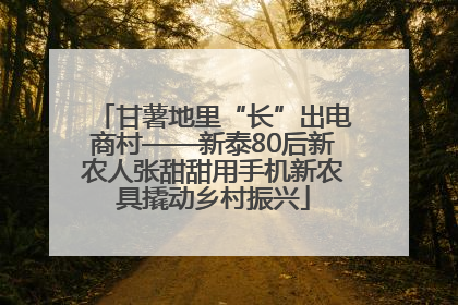 甘薯地里“长”出电商村——新泰80后新农人张甜甜用手机新农具撬动乡村振兴