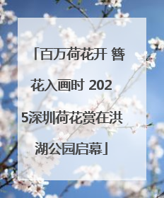 百万荷花开 簪花入画时 2025深圳荷花赏在洪湖公园启幕