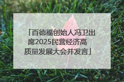 百德福创始人冯卫出席2025民营经济高质量发展大会并发言