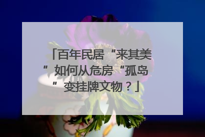 百年民居“来其美”如何从危房“孤岛”变挂牌文物？