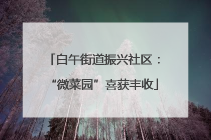白午街道振兴社区：“微菜园”喜获丰收