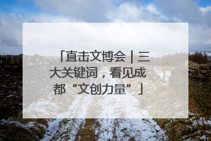 直击文博会｜三大关键词，看见成都“文创力量”