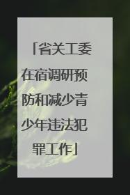 省关工委在宿调研预防和减少青少年违法犯罪工作