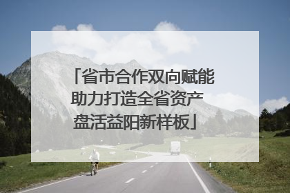 省市合作双向赋能 助力打造全省资产盘活益阳新样板