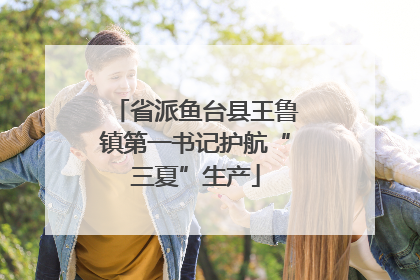 省派鱼台县王鲁镇第一书记护航“三夏”生产