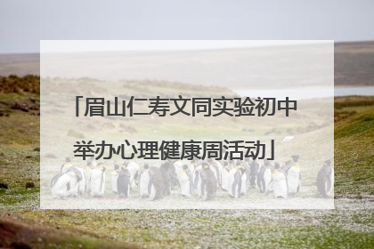 眉山仁寿文同实验初中举办心理健康周活动