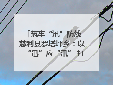 筑牢“汛”防线｜慈利县罗塔坪乡：以“迅”应“汛” 打赢暴雨防御战