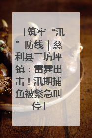 筑牢“汛”防线｜慈利县二坊坪镇：雷霆出击！汛期捕鱼被紧急叫停