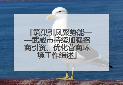 筑巢引凤聚势能——武威市持续加强招商引资、优化营商环境工作综述