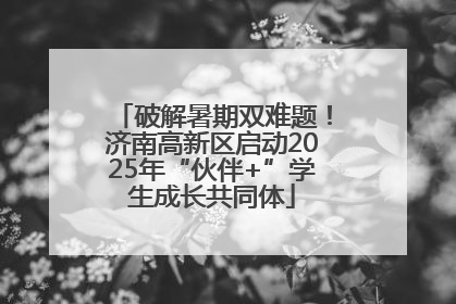 破解暑期双难题！济南高新区启动2025年“伙伴+”学生成长共同体