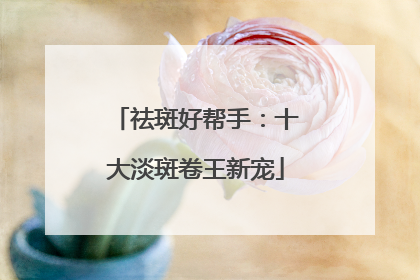 祛斑好帮手：十大淡斑卷王新宠