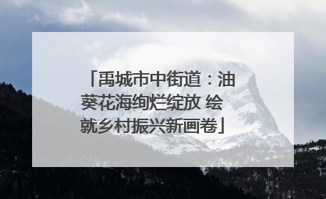 禹城市中街道：油葵花海绚烂绽放 绘就乡村振兴新画卷