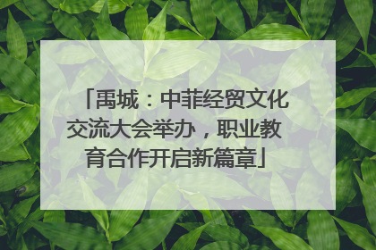 禹城：中菲经贸文化交流大会举办，职业教育合作开启新篇章