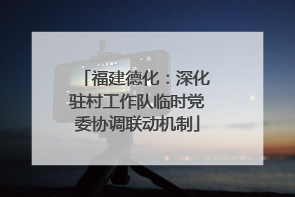 福建德化：深化驻村工作队临时党委协调联动机制