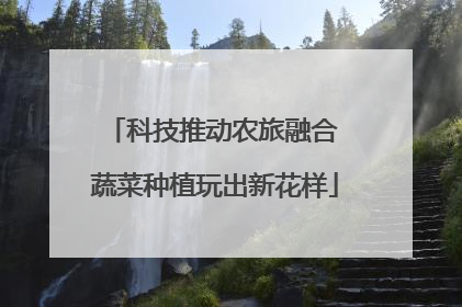 科技推动农旅融合 蔬菜种植玩出新花样