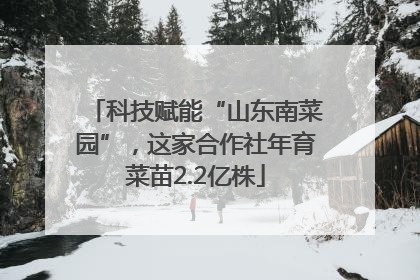 科技赋能“山东南菜园”，这家合作社年育菜苗2.2亿株