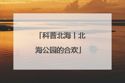 科普北海丨北海公园的合欢