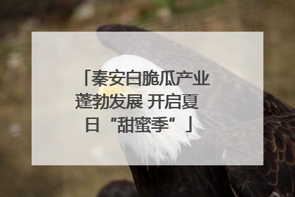 秦安白脆瓜产业蓬勃发展 开启夏日“甜蜜季”