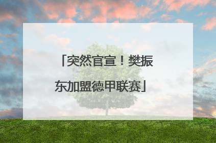 突然官宣！樊振东加盟德甲联赛