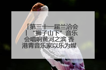 第三十一届兰洽会丨“狮子山下”音乐会唱响黄河之滨 香港青音乐家以乐为媒促陇港文化交流