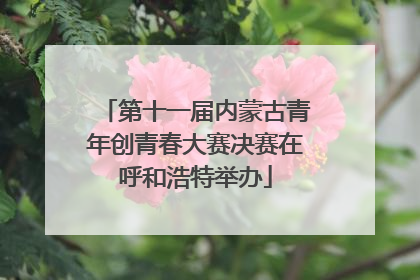 第十一届内蒙古青年创青春大赛决赛在呼和浩特举办