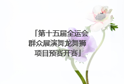 第十五届全运会群众展演舞龙舞狮项目预赛开赛