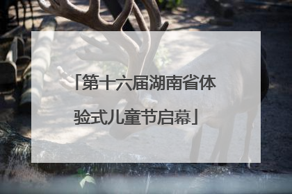 第十六届湖南省体验式儿童节启幕
