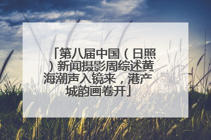 第八届中国（日照）新闻摄影周综述黄海潮声入镜来，港产城韵画卷开