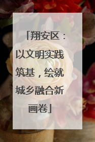 翔安区：以文明实践筑基，绘就城乡融合新画卷