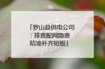 罗山县供电公司:排查配网隐患 精准补齐短板