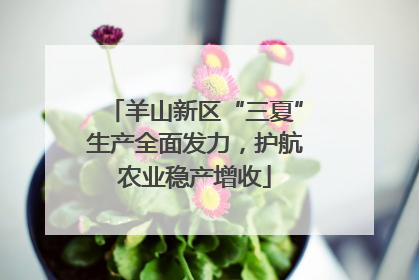 羊山新区“三夏”生产全面发力，护航农业稳产增收