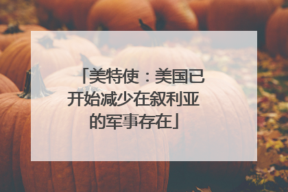 美特使：美国已开始减少在叙利亚的军事存在