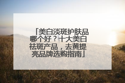 美白淡斑护肤品哪个好？十大美白祛斑产品，去黄提亮品牌选购指南