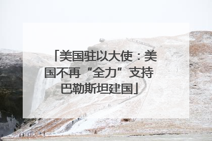 美国驻以大使：美国不再“全力”支持巴勒斯坦建国