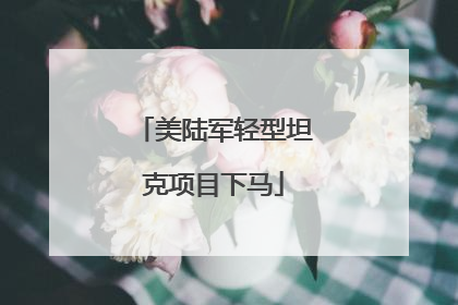 美陆军轻型坦克项目下马