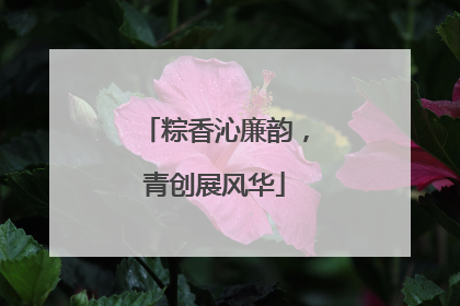 粽香沁廉韵，青创展风华