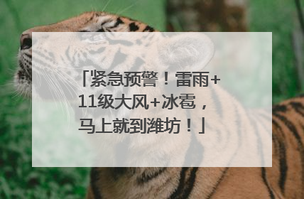 紧急预警！雷雨+11级大风+冰雹，马上就到潍坊！