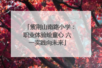 紫荆山南路小学：职业体验绘童心 六一实践向未来