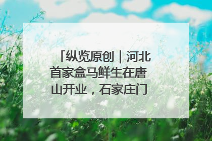 纵览原创｜河北首家盒马鲜生在唐山开业，石家庄门店预计8月开业